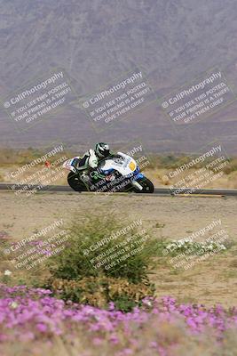 media/Feb-04-2023-SoCal Trackdays (Sat) [[8a776bf2c3]]/Turn 15 Inside Blooming (1050am)/